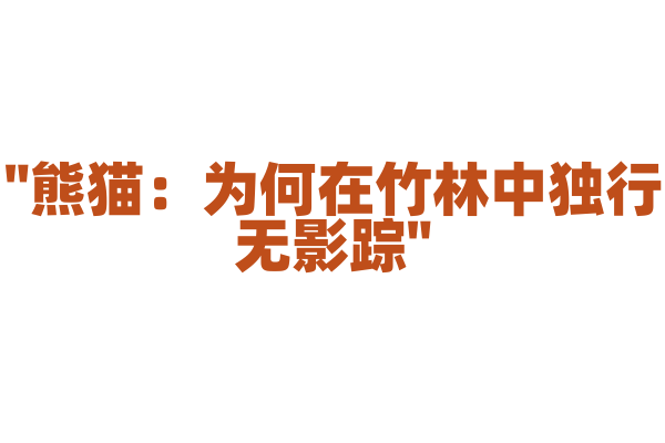 "熊猫：为何在竹林中独行无影踪"